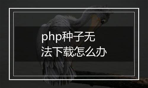 php种子无法下载怎么办