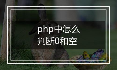 php中怎么判断0和空