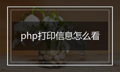 php打印信息怎么看