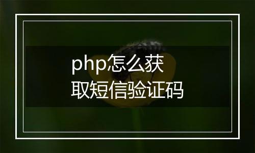 php怎么获取短信验证码