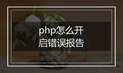 php怎么开启错误报告