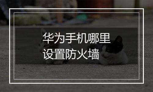 华为手机哪里设置防火墙