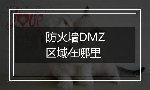 防火墙DMZ区域在哪里