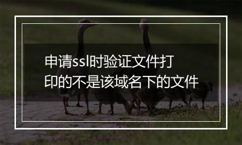 申请ssl时验证文件打印的不是该域名下的文件
