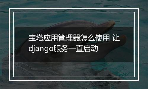 宝塔应用管理器怎么使用 让django服务一直启动