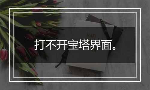 打不开宝塔界面。