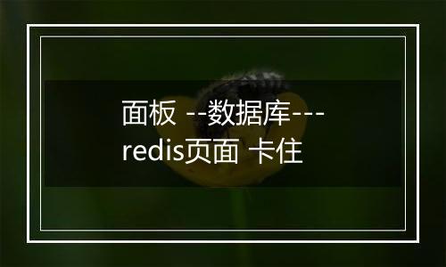 面板 --数据库---redis页面 卡住