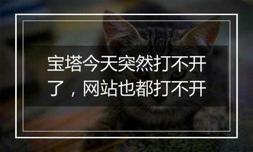 宝塔今天突然打不开了,网站也都打不开