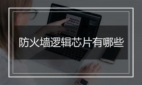 防火墙逻辑芯片有哪些