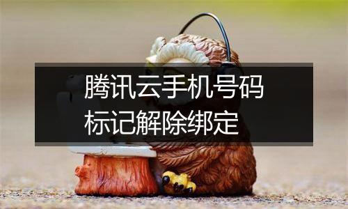 腾讯云手机号码标记解除绑定