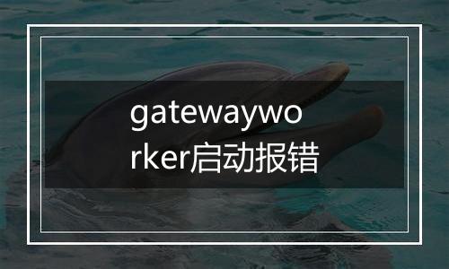 gatewayworker启动报错