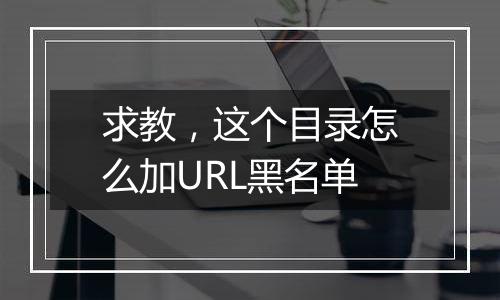 求教,这个目录怎么加URL黑名单