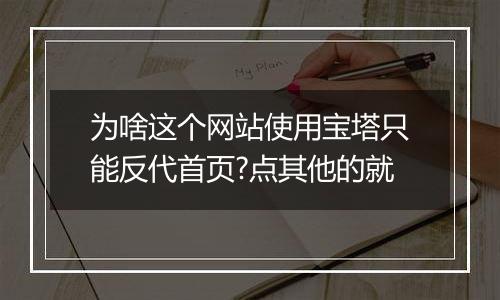 为啥这个网站使用宝塔只能反代首页?点其他的就