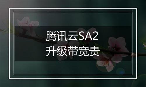 腾讯云SA2升级带宽贵
