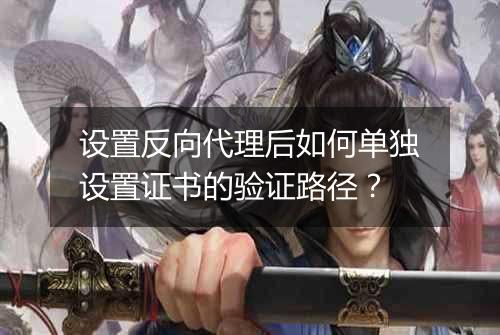 设置反向代理后如何单独设置证书的验证路径?
