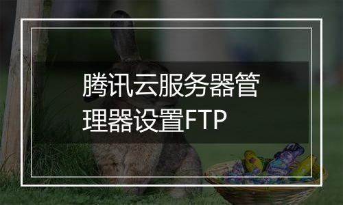 腾讯云服务器管理器设置FTP