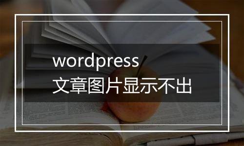wordpress文章图片显示不出