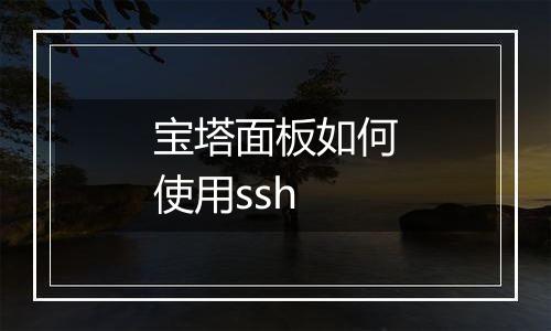 宝塔面板如何使用ssh
