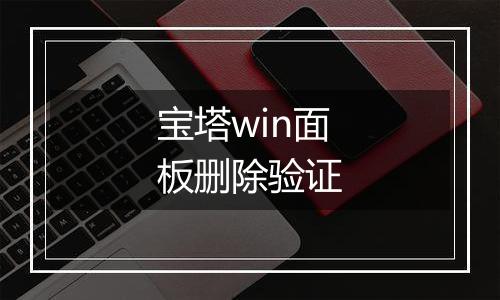 宝塔win面板删除验证