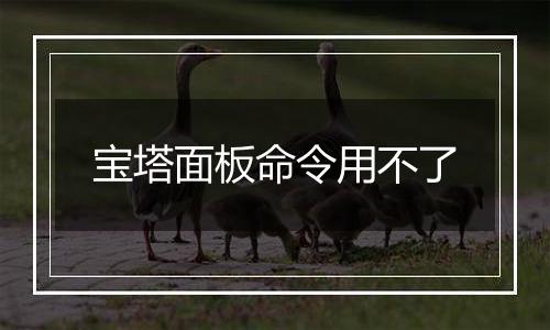 宝塔面板命令用不了
