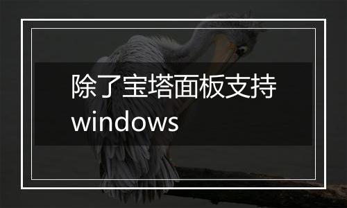 除了宝塔面板支持windows