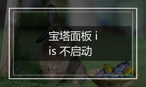 宝塔面板 iis 不启动