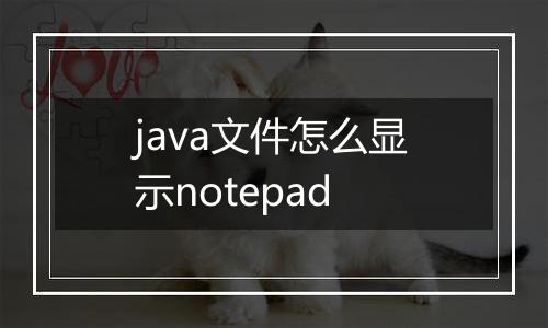 java文件怎么显示notepad