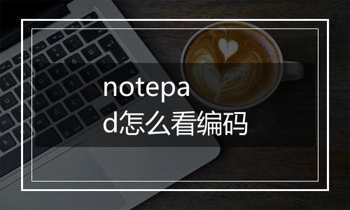 notepad怎么看编码