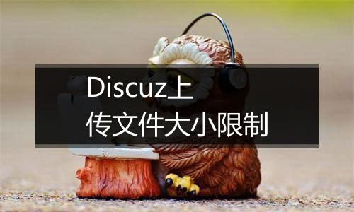 Discuz上传文件大小限制