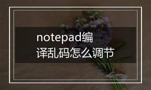 notepad编译乱码怎么调节