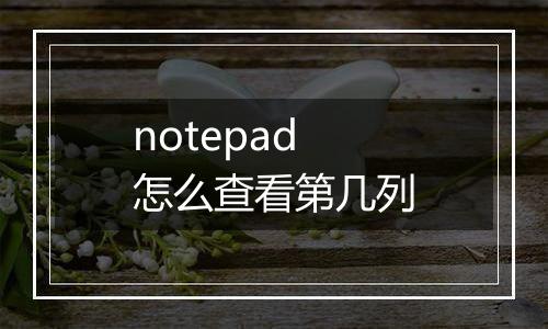notepad怎么查看第几列