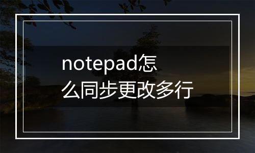 notepad怎么同步更改多行
