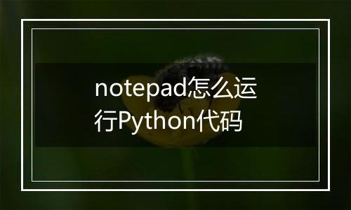 notepad怎么运行Python代码