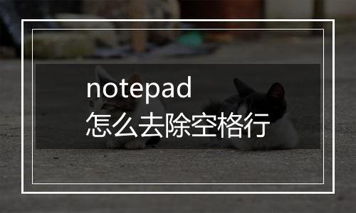 notepad怎么去除空格行