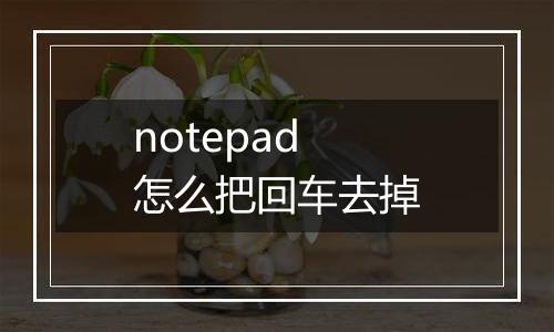 notepad怎么把回车去掉