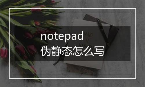 notepad伪静态怎么写