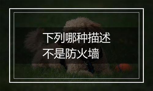 下列哪种描述不是防火墙