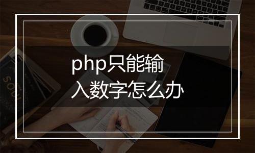 php只能输入数字怎么办