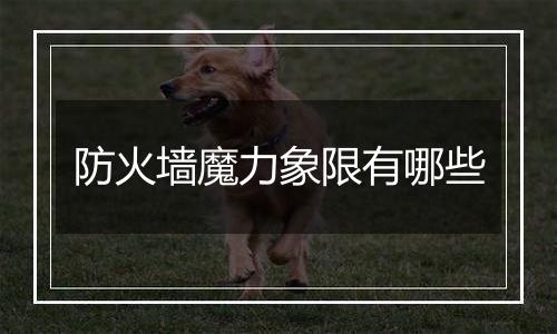 防火墙魔力象限有哪些
