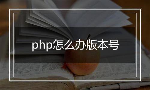php怎么办版本号