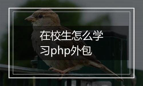 在校生怎么学习php外包