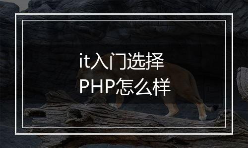 it入门选择PHP怎么样