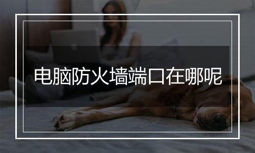电脑防火墙端口在哪呢