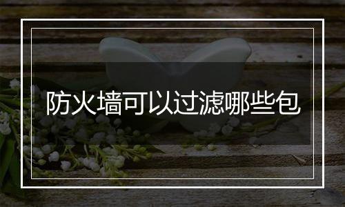 防火墙可以过滤哪些包