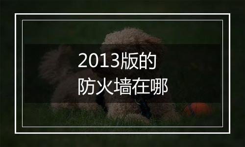 2013版的防火墙在哪
