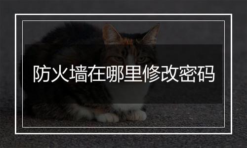 防火墙在哪里修改密码
