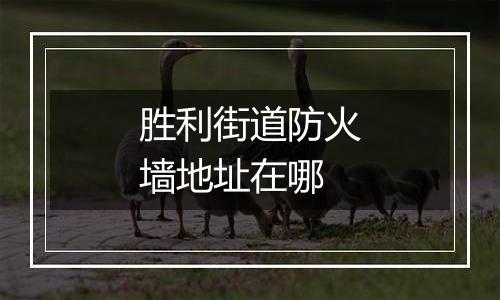 胜利街道防火墙地址在哪