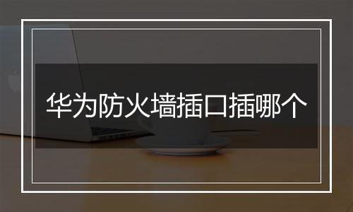 华为防火墙插口插哪个