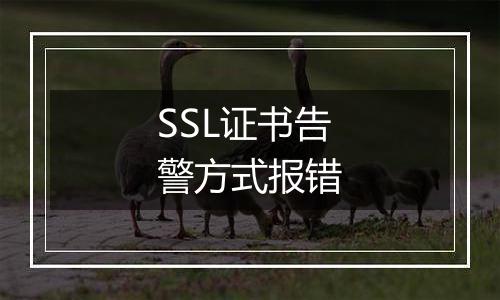 SSL证书告警方式报错