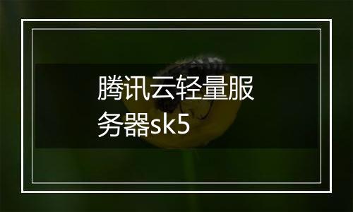 腾讯云轻量服务器sk5